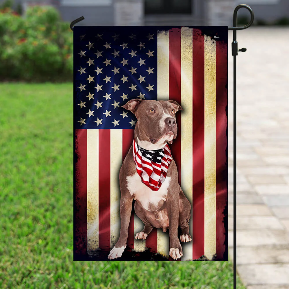 Pit bull American Flag