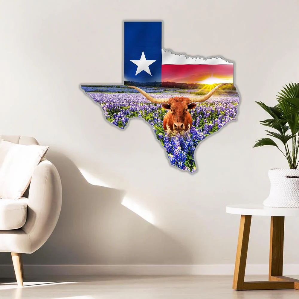 Texas Hanging Metal Sign Bright Star